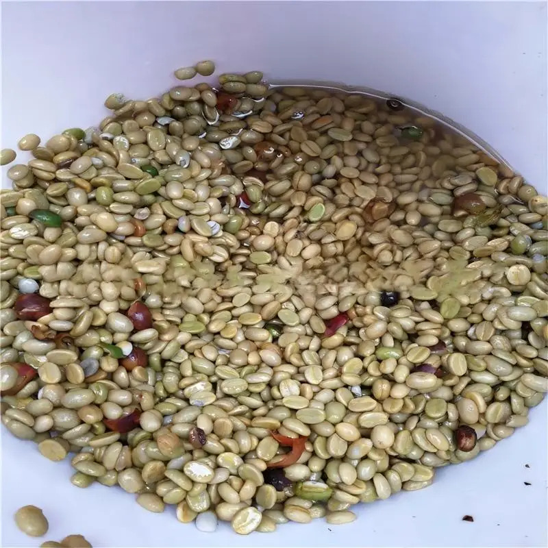 Specialty Parchment Coffee Roa - Coffee Equipment For Business recensie en prijs