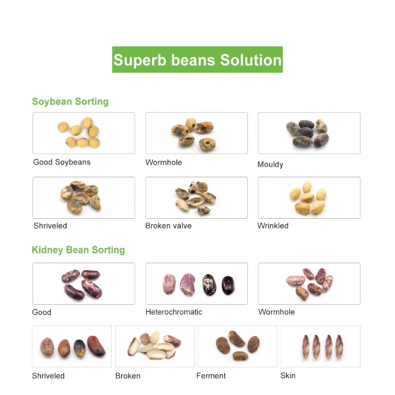 Customized Grape Sorter Machin - Coffee Equipment Price recensie en prijs
